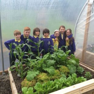 Polytunnel Gardeners