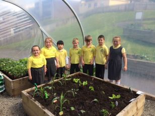 School Gardening in full swing