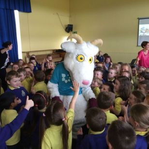 Genevieve the goat visited P1 & P2