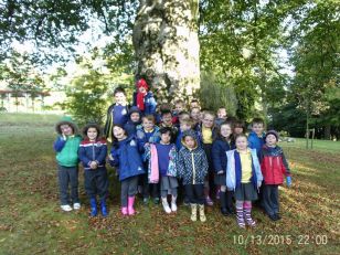 P2 enjoy their autumn walk